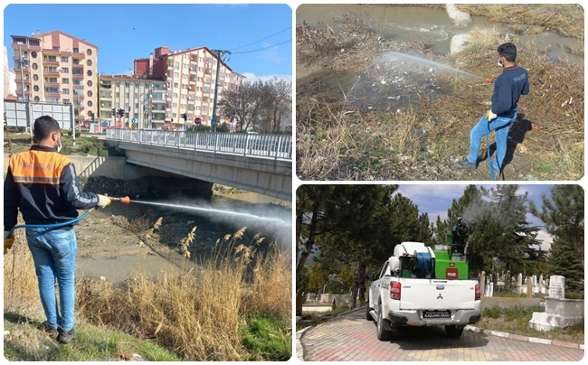 SUNGURLU'DA VEKTÃ–REL  MÃœCADELE SÃœRÃœYOR