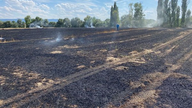 ANIZ YANGINLARI Ã–NLENEMÄ°YOR