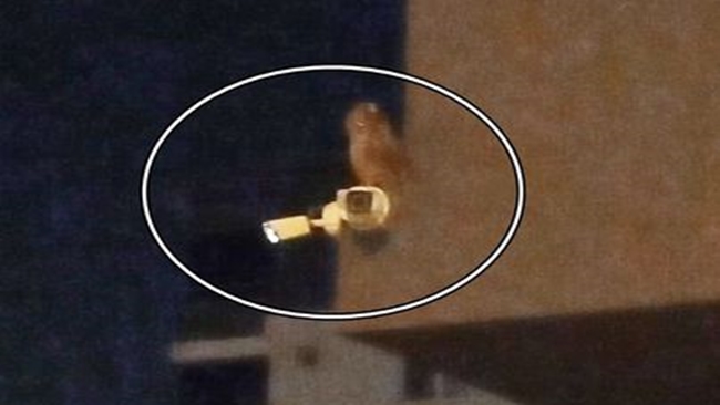 MAHALLEDE BAYKUÅž RAHATSIZLIÄžI!