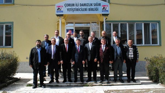 BELEDÄ°YECÄ°LÄ°K HÄ°ZMETLERÄ°MÄ°ZLE  ESNAFLARIMIZIN YÃœZÃœ GÃœLECEK