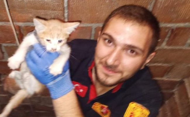 YAVRU KEDÄ°YÄ° Ä°TFAÄ°YE KURTARDI