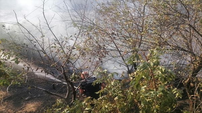 OTLUK ALANDA Ã‡IKAN YANGIN KORKUTTU