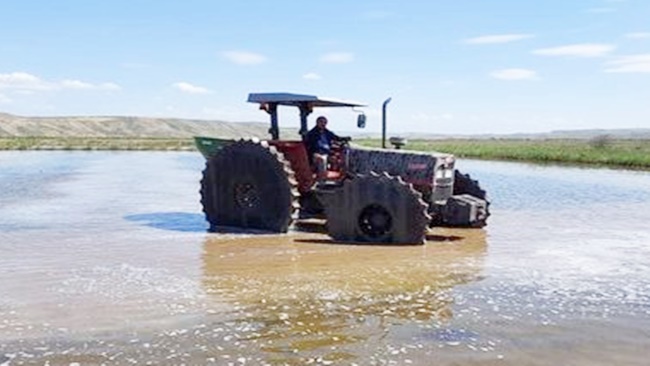 Ã‡ELTÄ°K EKÄ°MÄ° BAÅžLADI