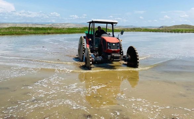 SUNGURLU KULAâ€™DA Ã‡ELTÄ°K EKÄ°MÄ°!