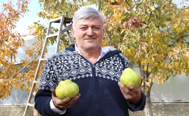 EMEKLÄ° ASKER KÃ–YÃœNE DÃ–NDÃœ,  YILDA 50 TON ARMUT ÃœRETÄ°YOR