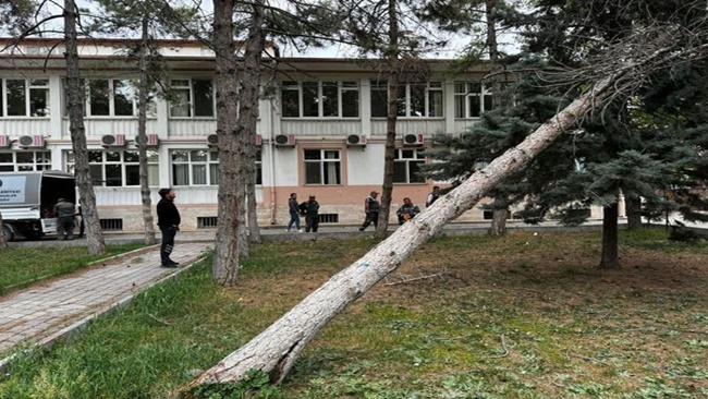 FIRTINA AÄžAÃ‡LARI DEVÄ°RDÄ°