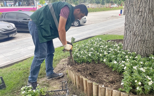BELEDÄ°YE, DAHA YEÅžÄ°L BÄ°R  Ã‡ORUM Ä°Ã‡Ä°N Ã‡ALIÅžIYOR