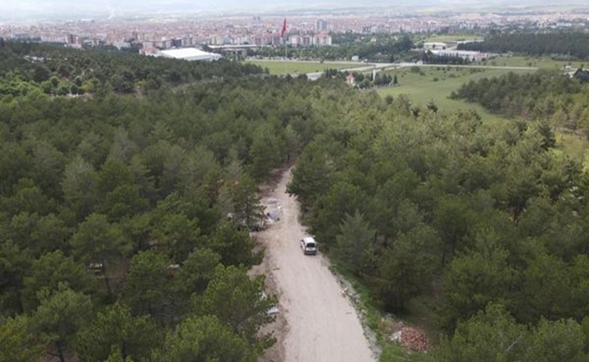 BAHABEY Ã‡AMLIÄžI, EKO-TURÄ°ZM ALANI OLUYOR