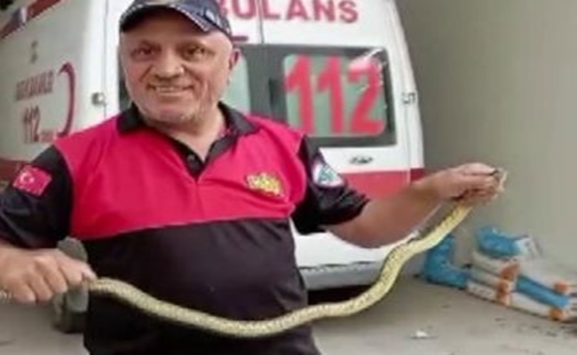 HASTANE MORGU Ã–NÃœNDE YILAN PANÄ°ÄžÄ°!