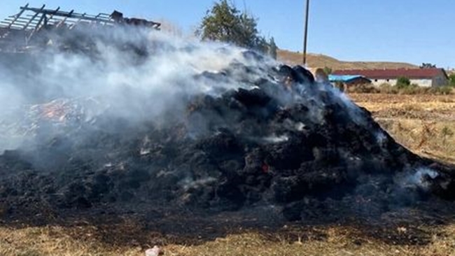 400 SAMAN BALYASI KÃœL OLDU