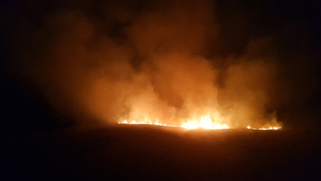 2 AYDA 400 ANIZ YANGINI Ã‡IKTI