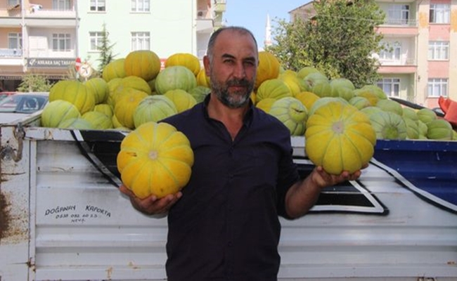 SUNGURLUâ€™NUN 10 DÄ°LÄ°M KAVUNU SATIÅžA Ã‡IKTI