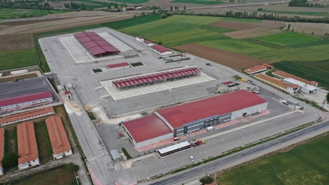 HAYVAN PAZARI TEKRAR AÃ‡ILIYOR