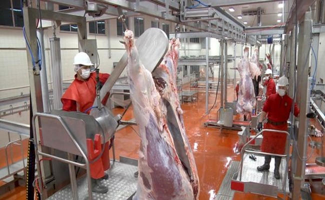 KURBAN KESÄ°M YERLERÄ° BELLÄ° OLDU