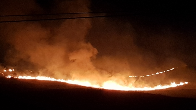 YÃœZLERCE DÃ–NÃœM ARAZÄ° KÃœL OLDU