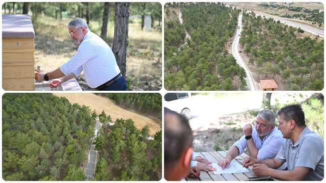 BAHABEYâ€™DE EKO-TURÄ°ZM ALANI KULLANIMA AÃ‡ILDI