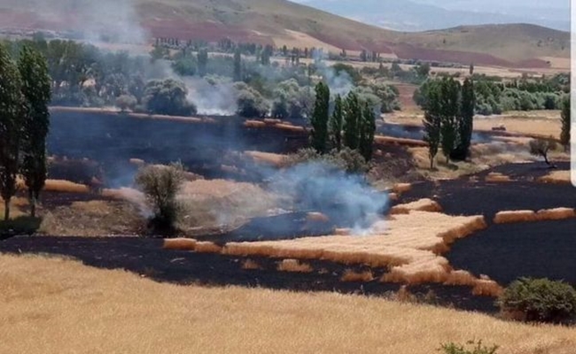 50 DÃ–NÃœM BUÄžDAY TARLASI YANDI