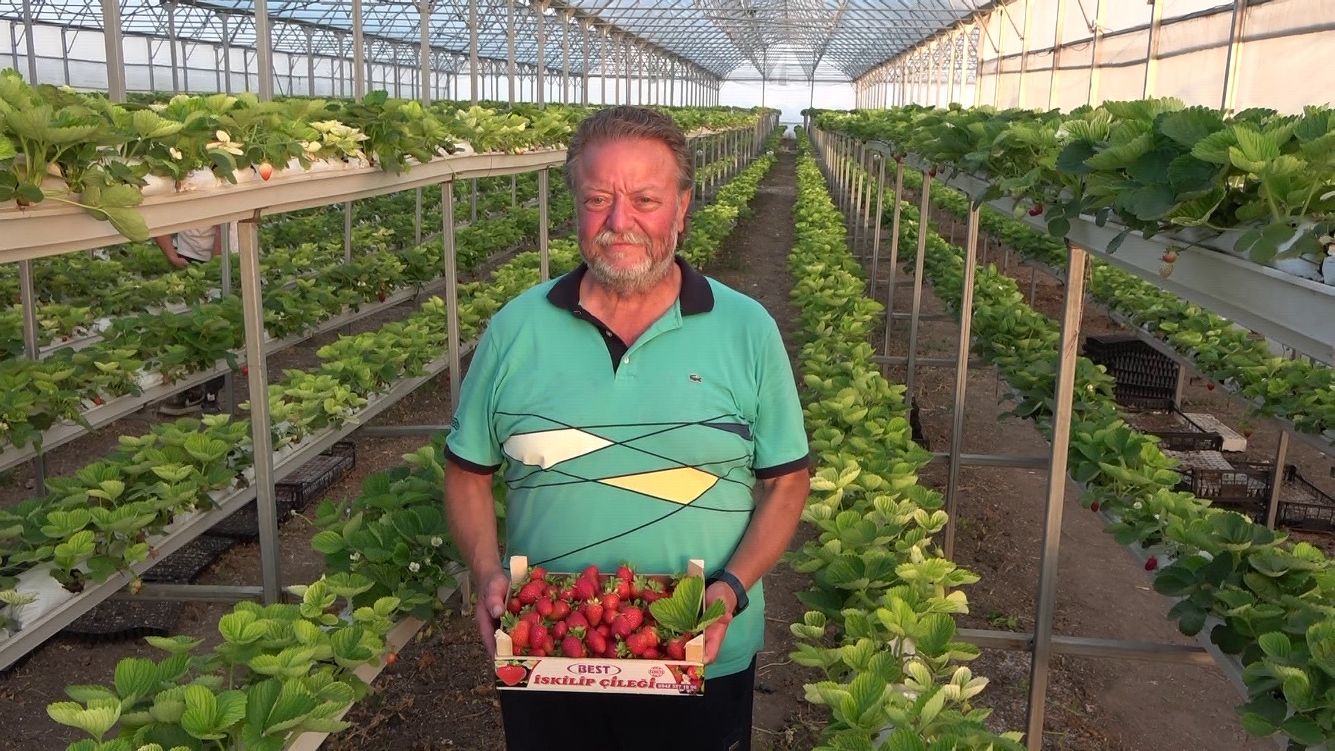 SERAâ€™DA TOPRAKSIZ Ã‡Ä°LEK ÃœRETÄ°YOR