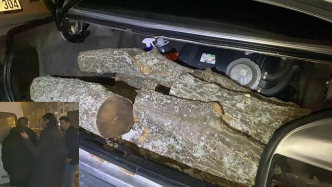 ODUN HIRSIZI SUÃ‡ÃœSTÃœ YAKALANDI