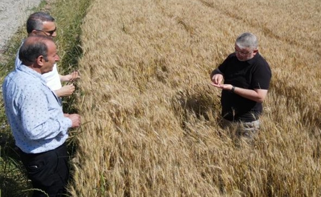 BELEDÄ°YE ÃœRETMEYE DEVAM EDÄ°YOR