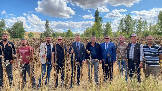 AYÃ‡Ä°Ã‡EÄžÄ° FÄ°YATI DA Ã‡Ä°FTÃ‡Ä°YÄ° HÃœSRANA UÄžRATTI