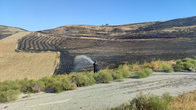 YÃœZLERCE DÃ–NÃœM ARAZÄ° YANDI
