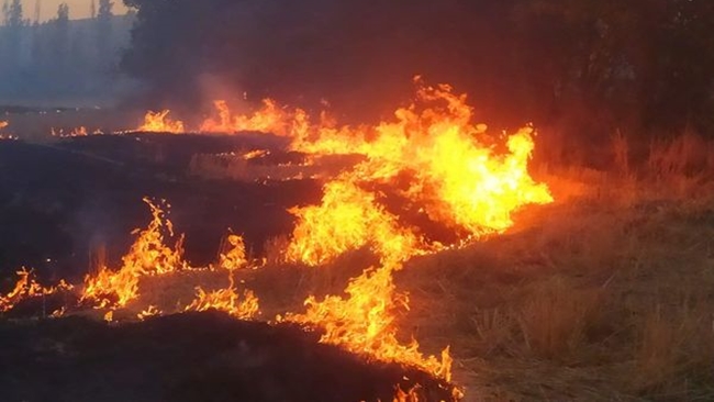 OTLUKTA Ã‡IKAN YANGIN  AÄžAÃ‡LIK ALANA SIÃ‡RADI