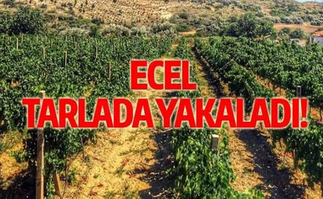 ECEL TARLADA YAKALADI
