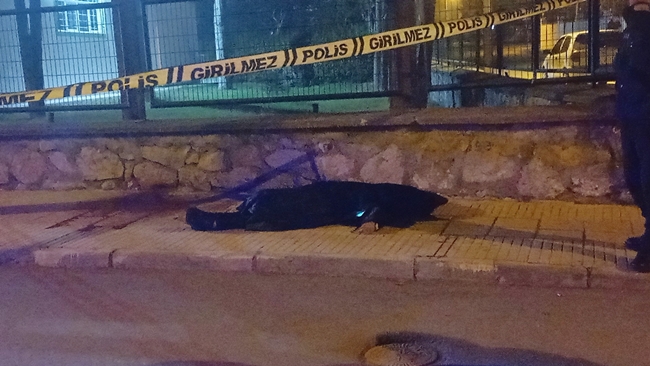 KALDIRIMDA Ã–LÃœ BULUNDU