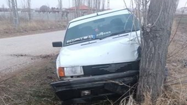 KÃ–PEÄžE Ã‡ARPMAMAK Ä°Ã‡Ä°N AÄžACA Ã‡ARPTI